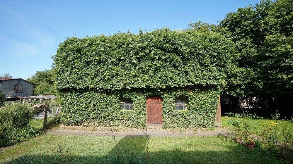 Bild 7