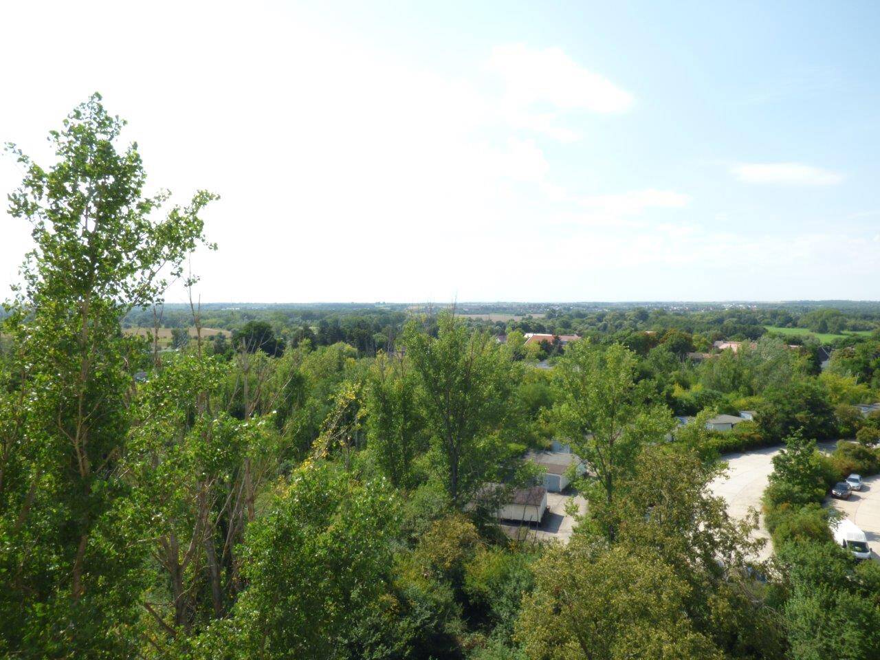 Bild 7