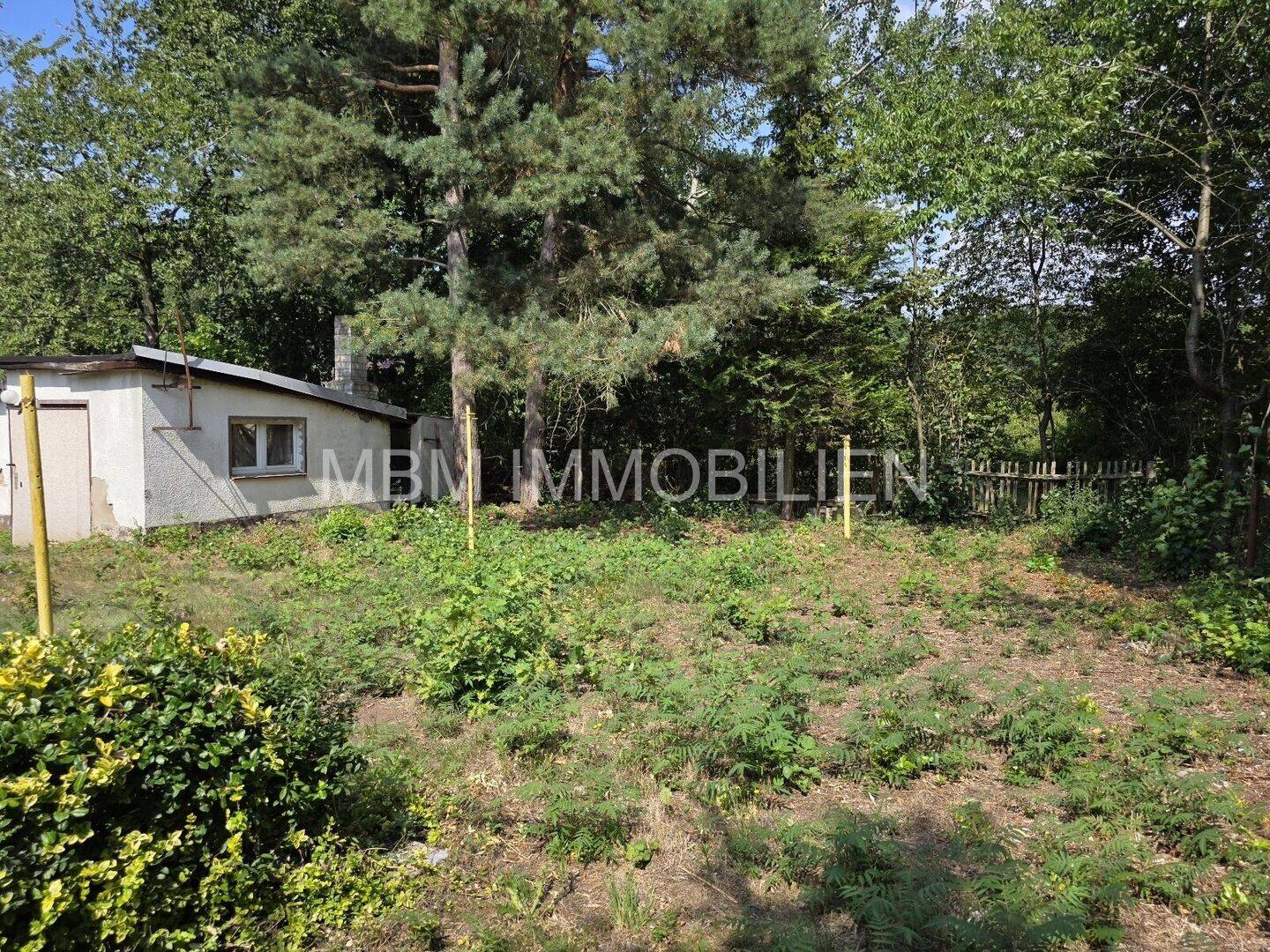 Bild 7