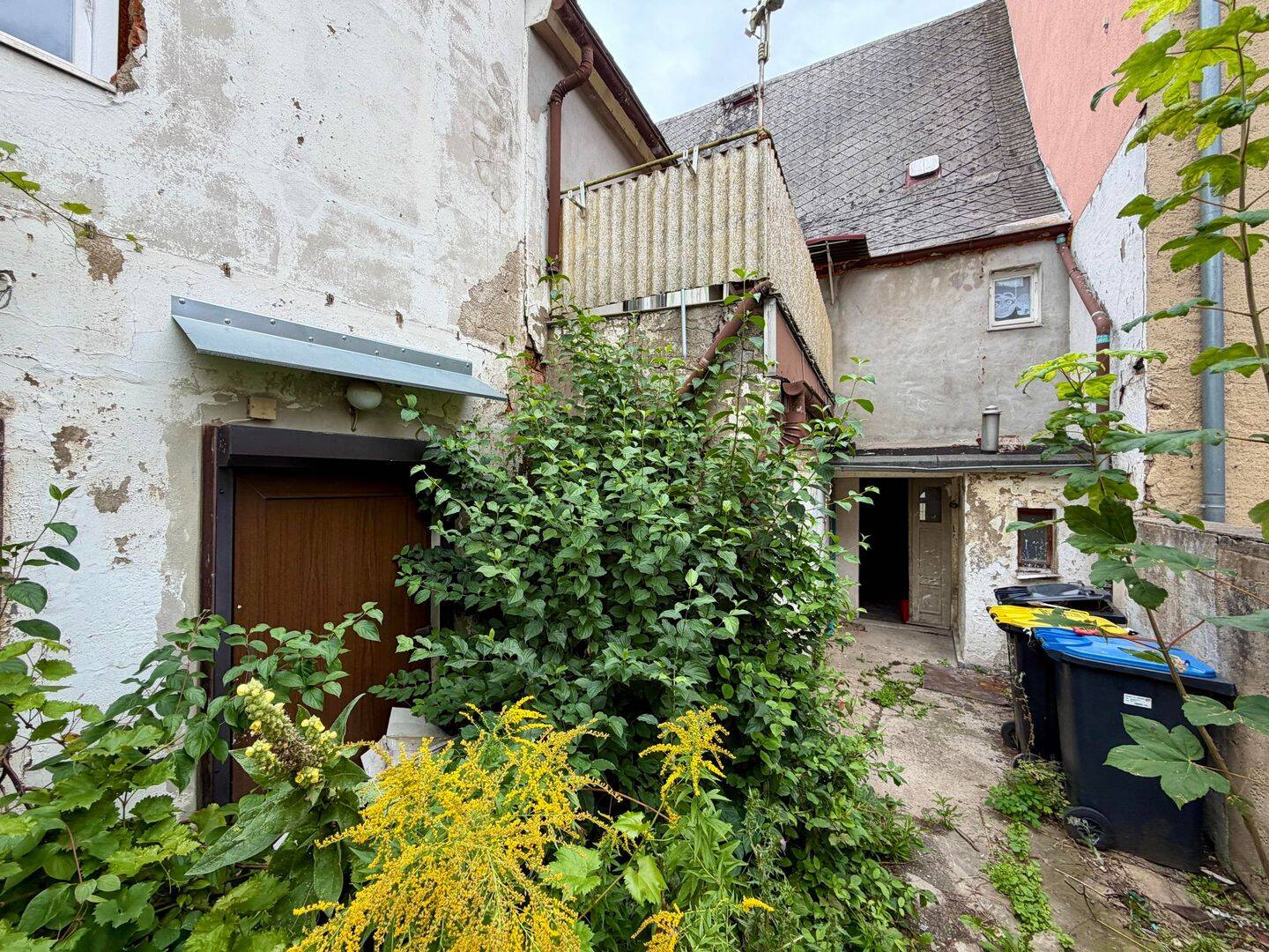 Bild 19