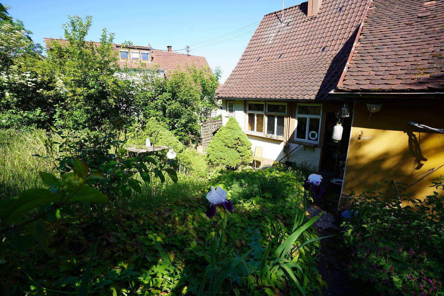 Bild 5