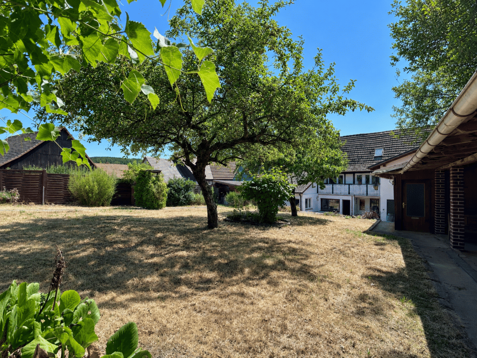 Bild 18