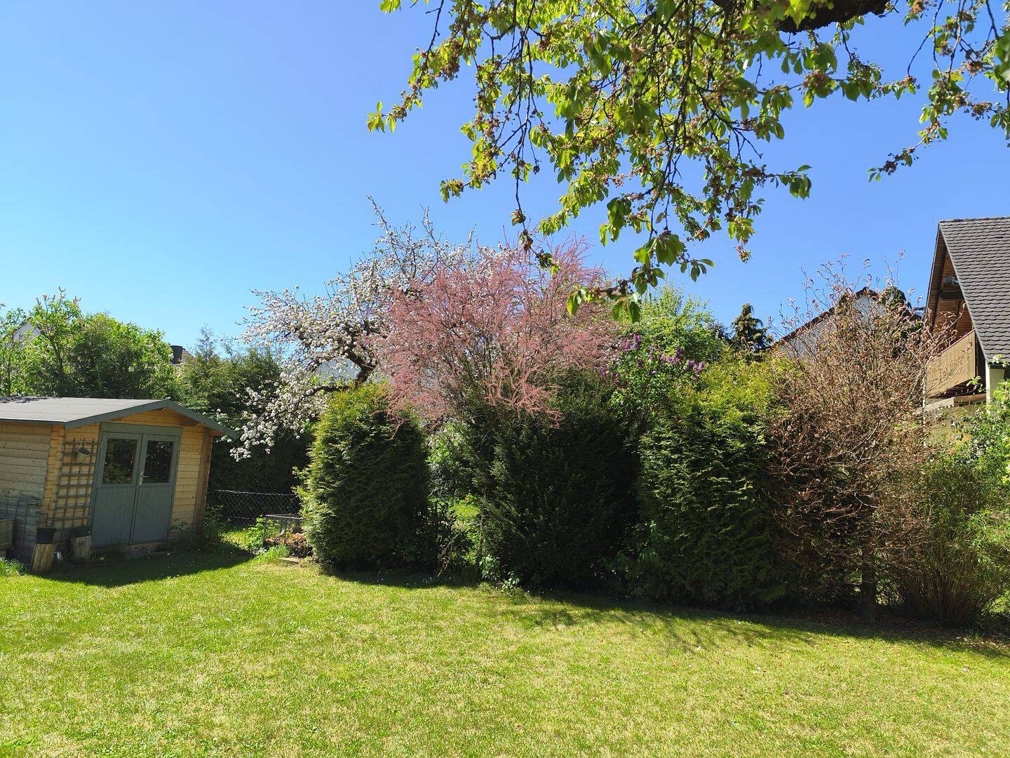 Bild 5