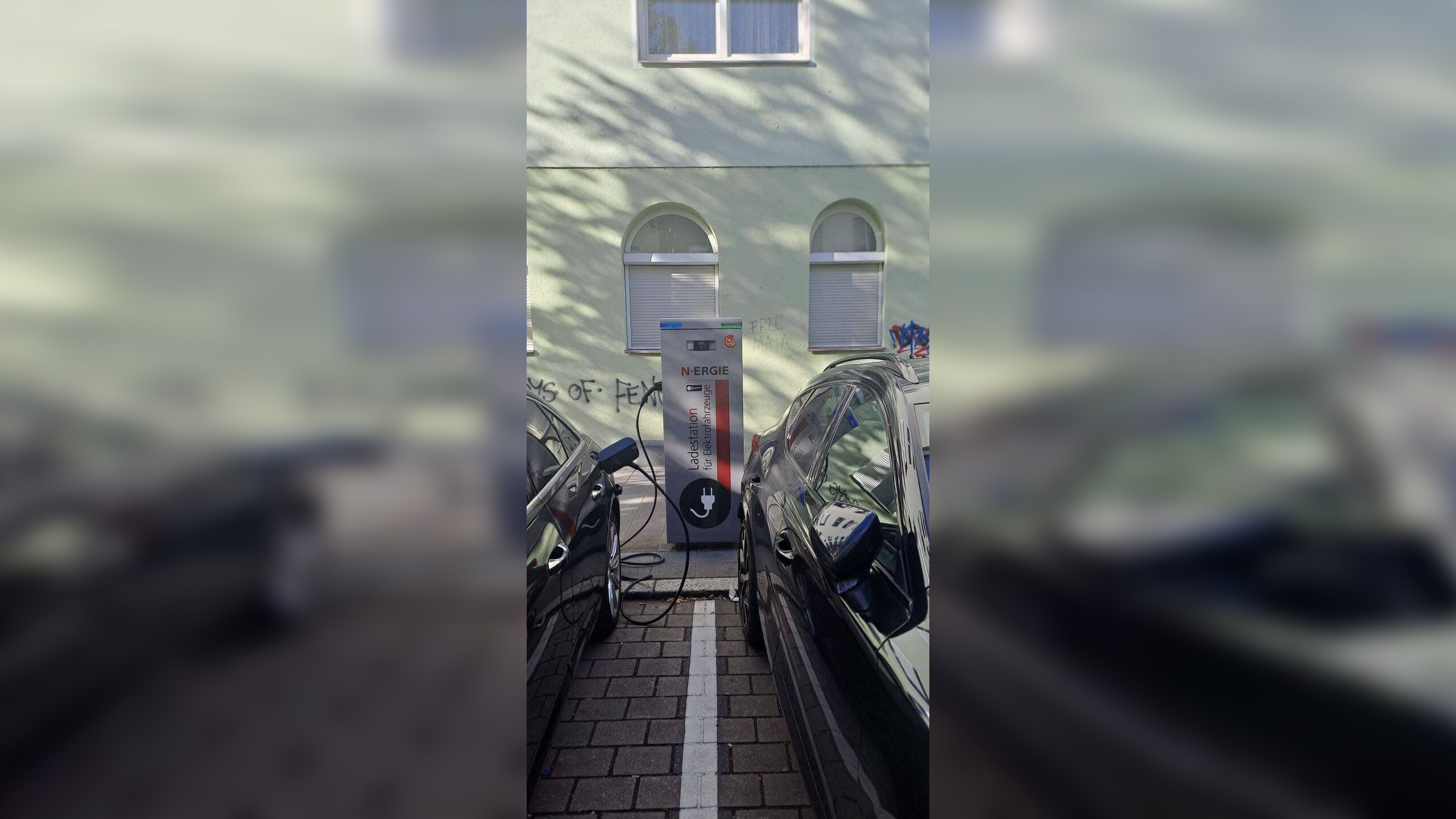 Bild 11