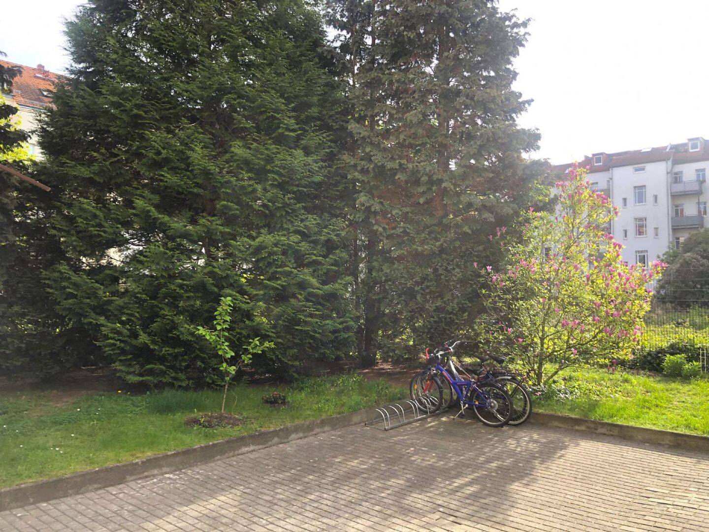 Bild 6