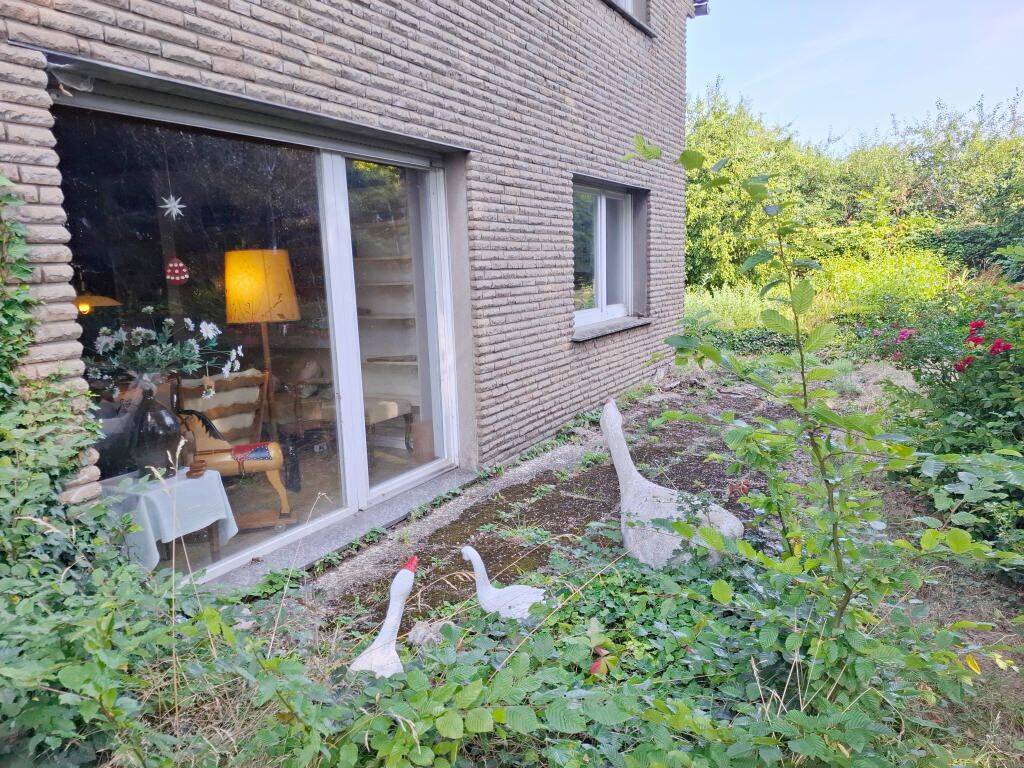 Bild 12