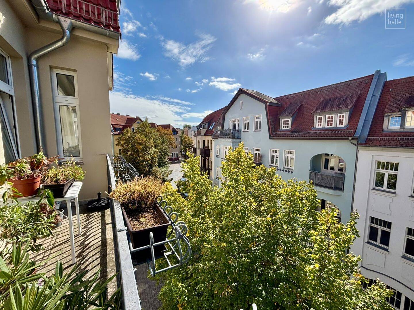Bild 8