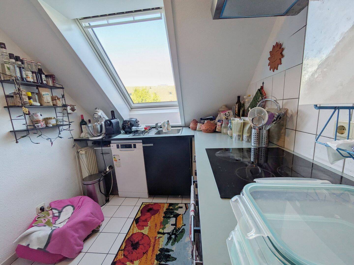 Bild 11