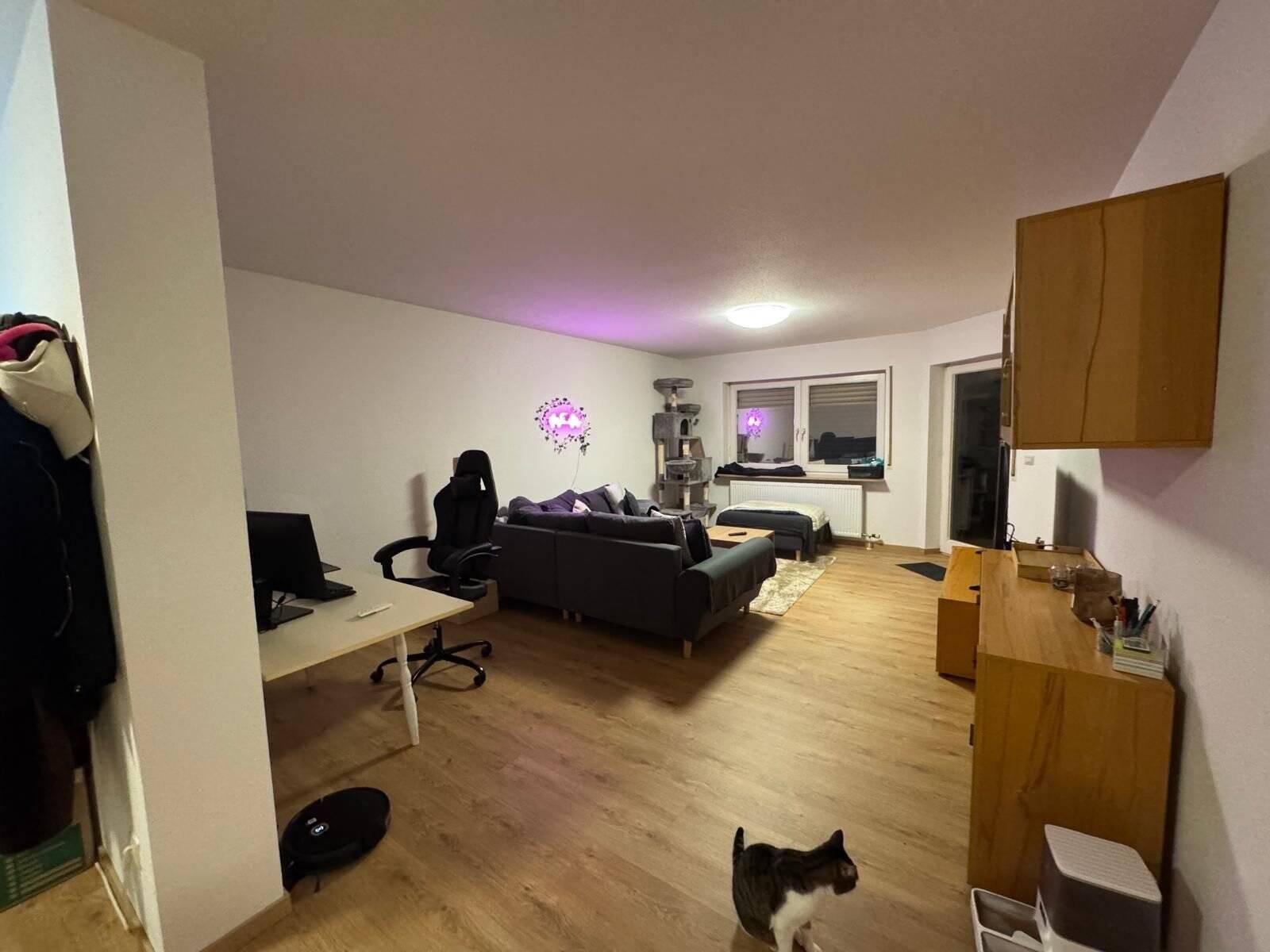Bild 8