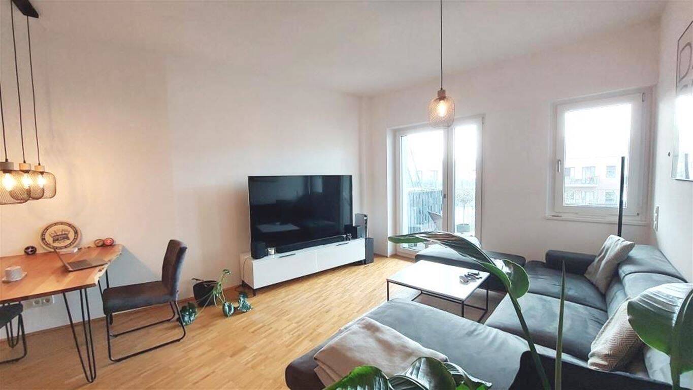 Bild 12