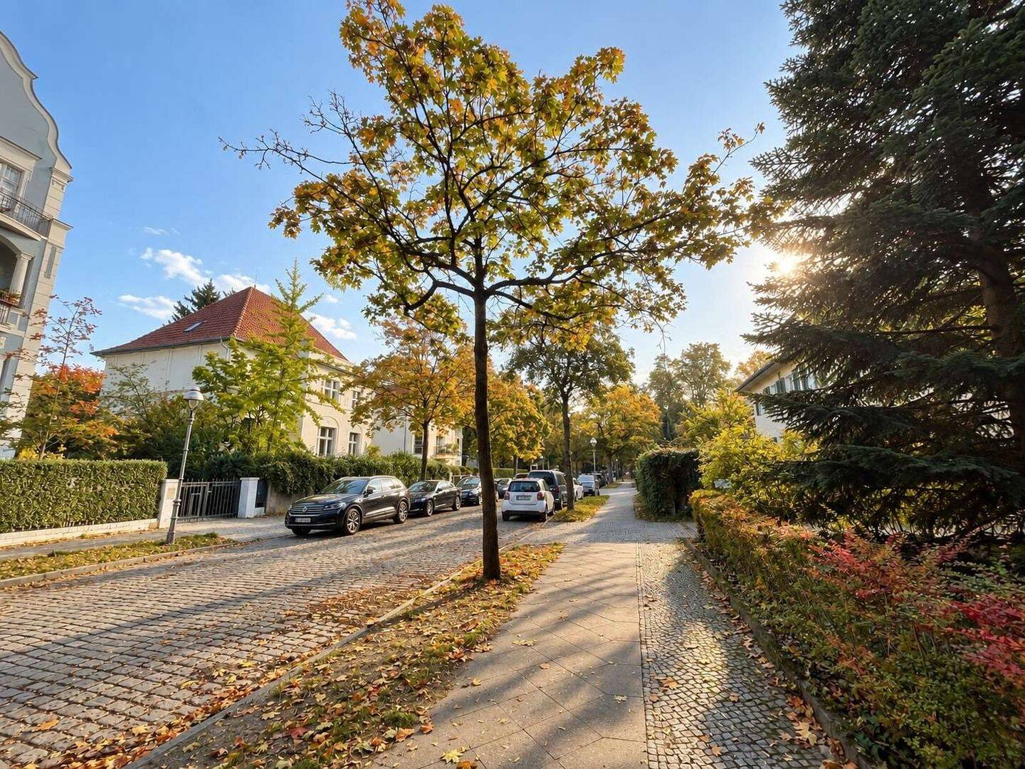 Bild 11