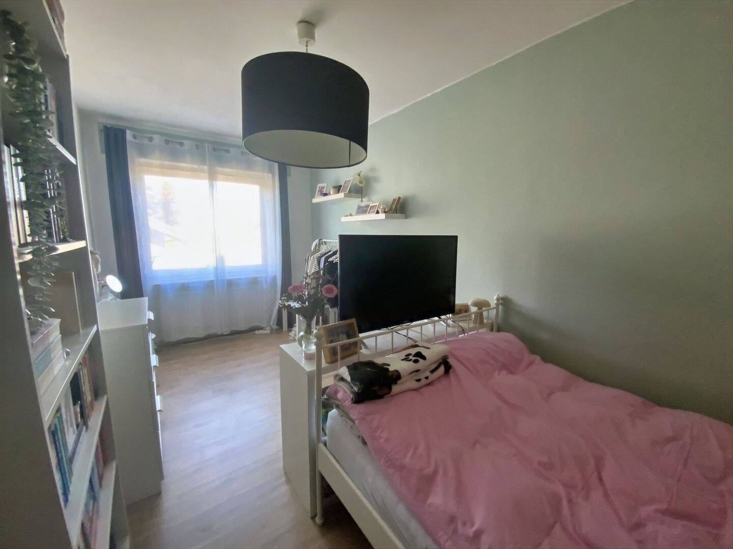 Bild 5