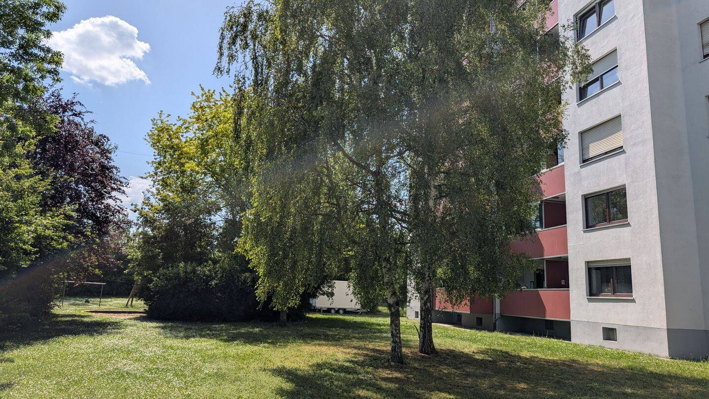 Bild 12