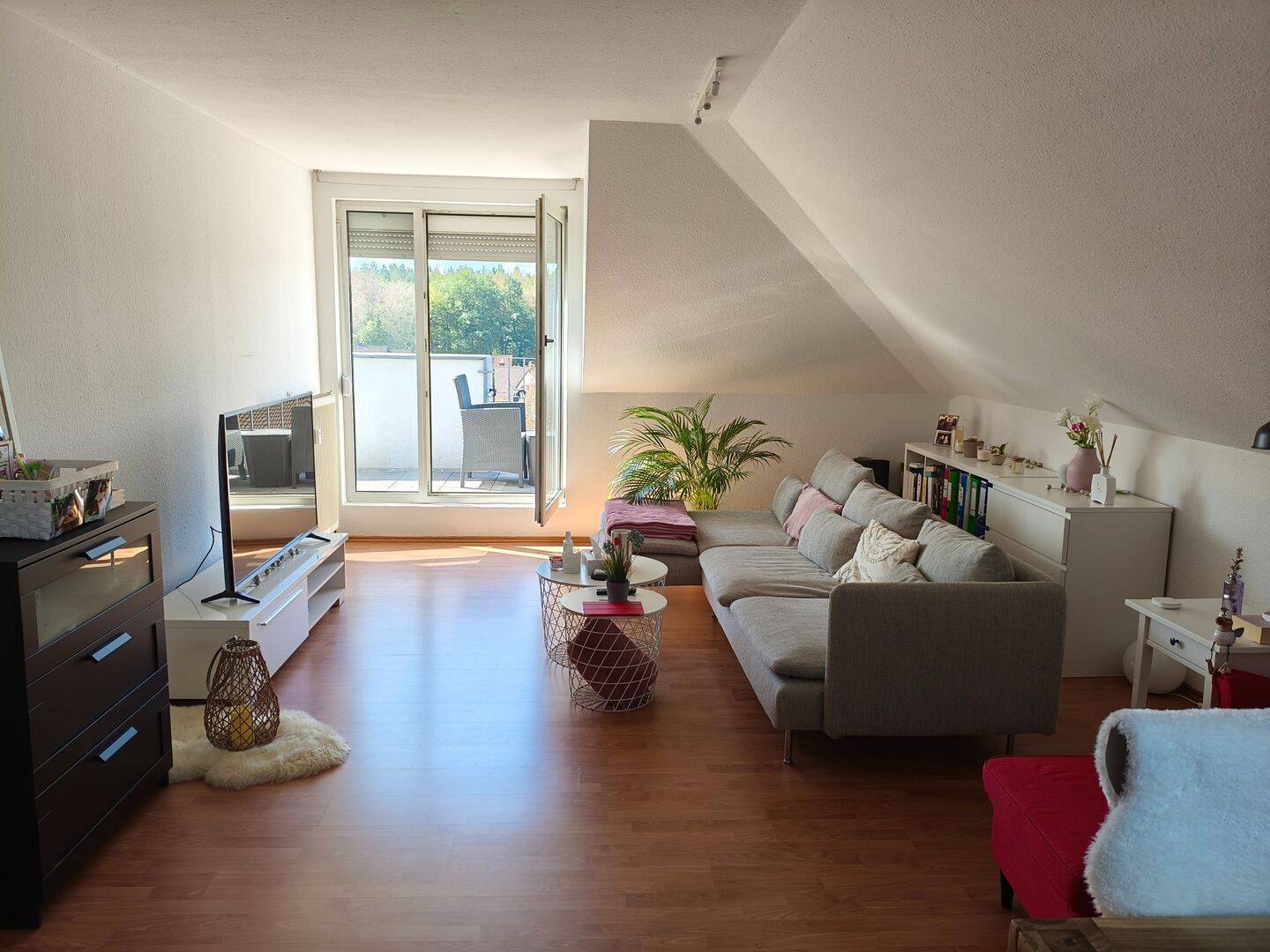 Bild 7