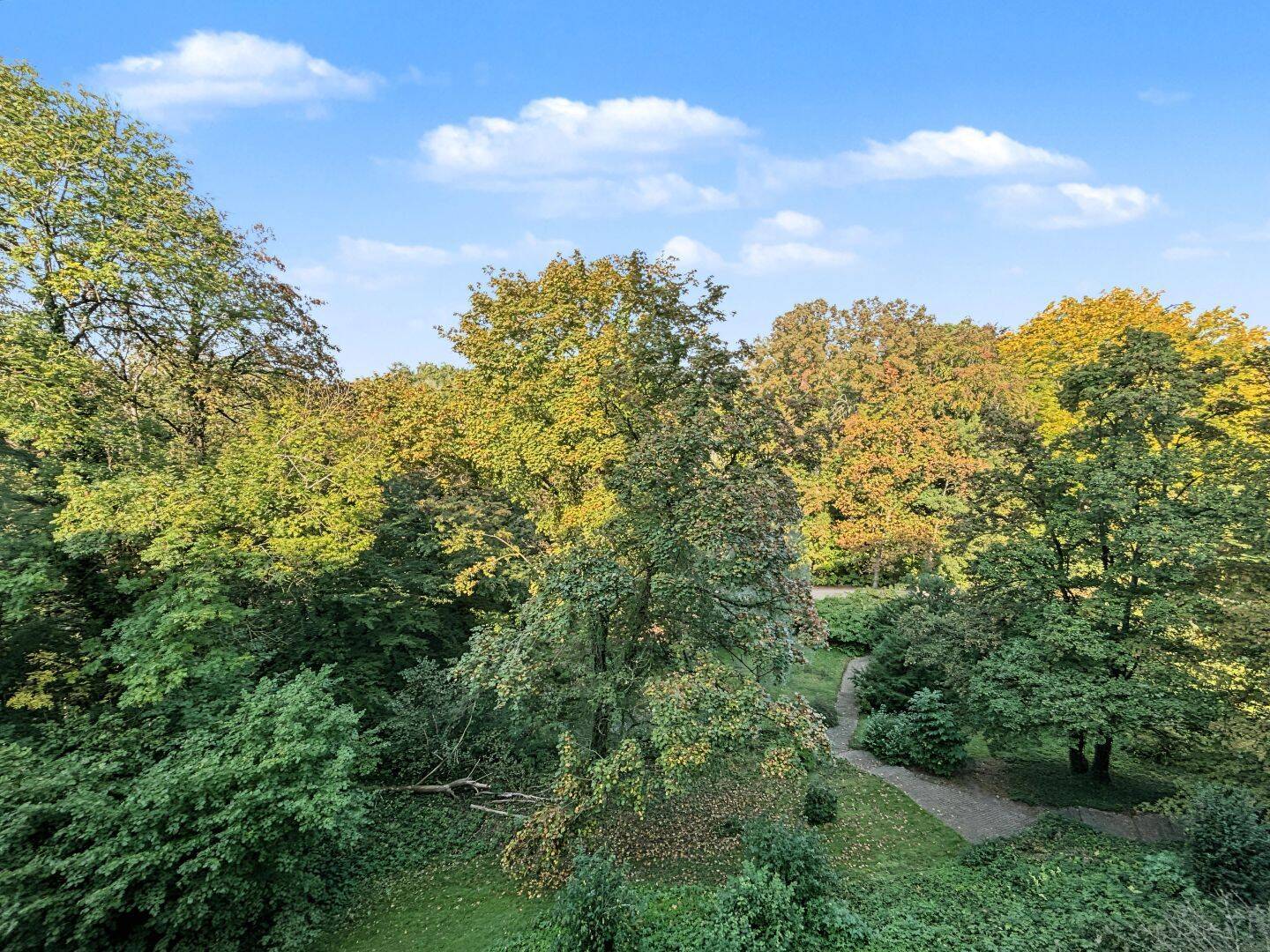Bild 11