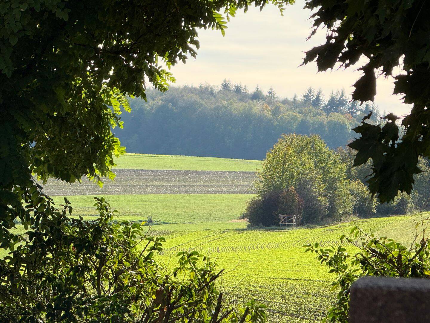 Bild 8