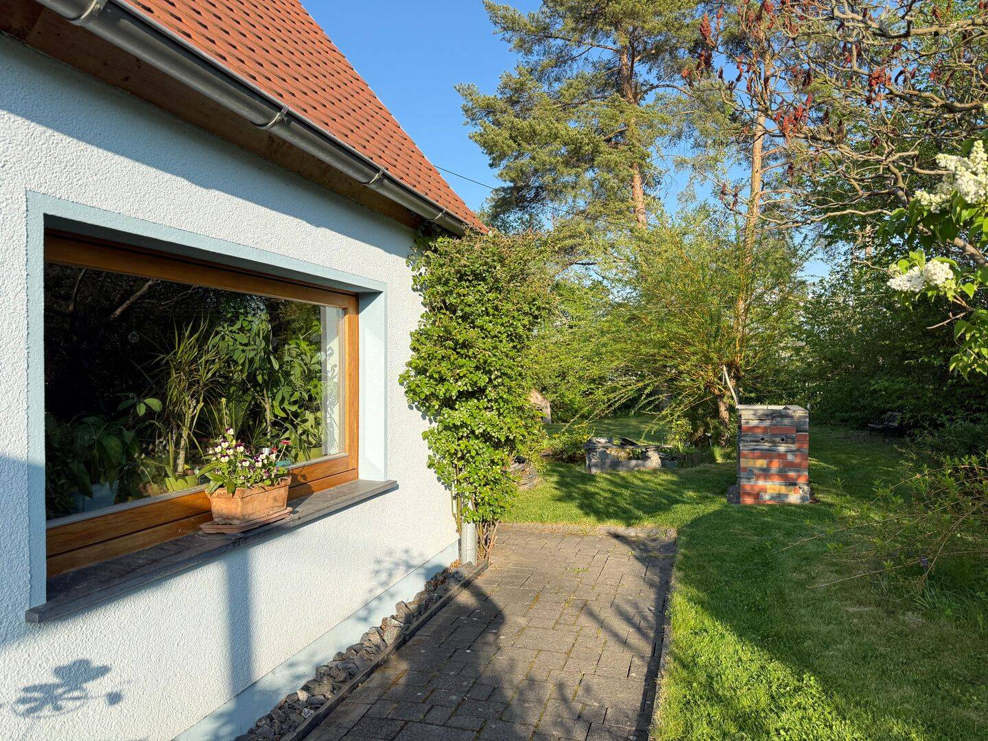 Bild 5