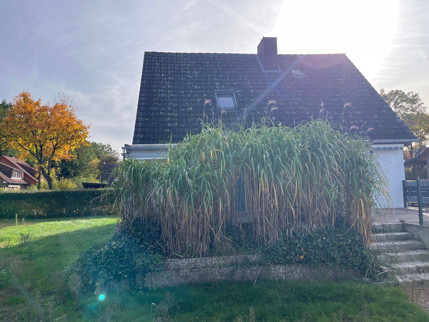 Bild 7