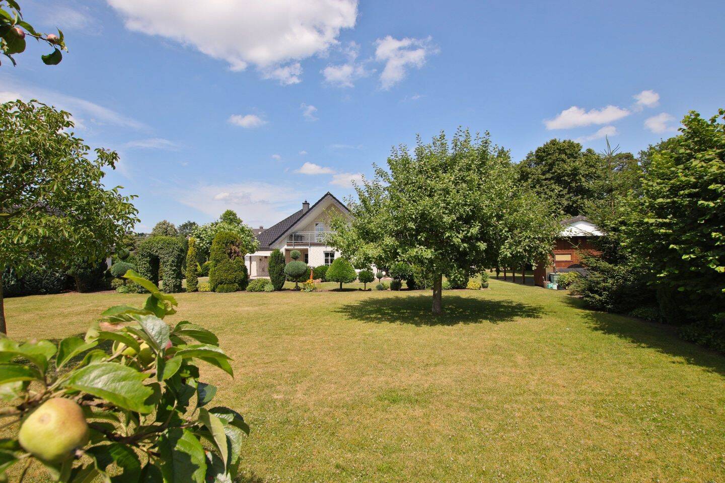 Bild 8