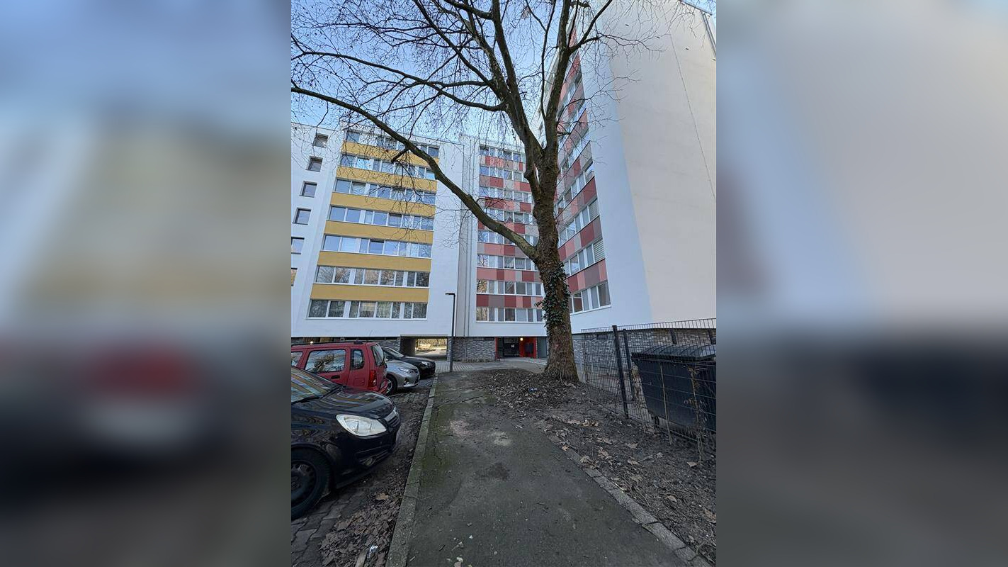Bild 11