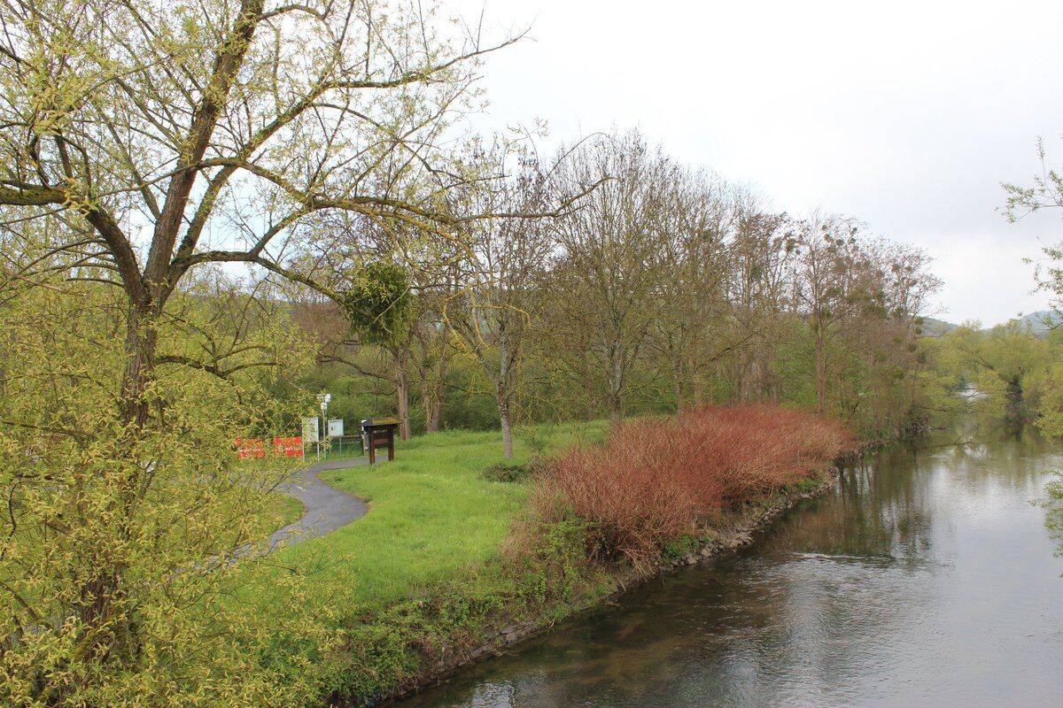 Bild 9