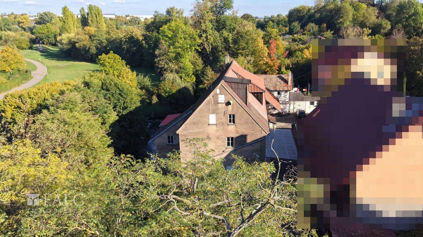 Bild 8