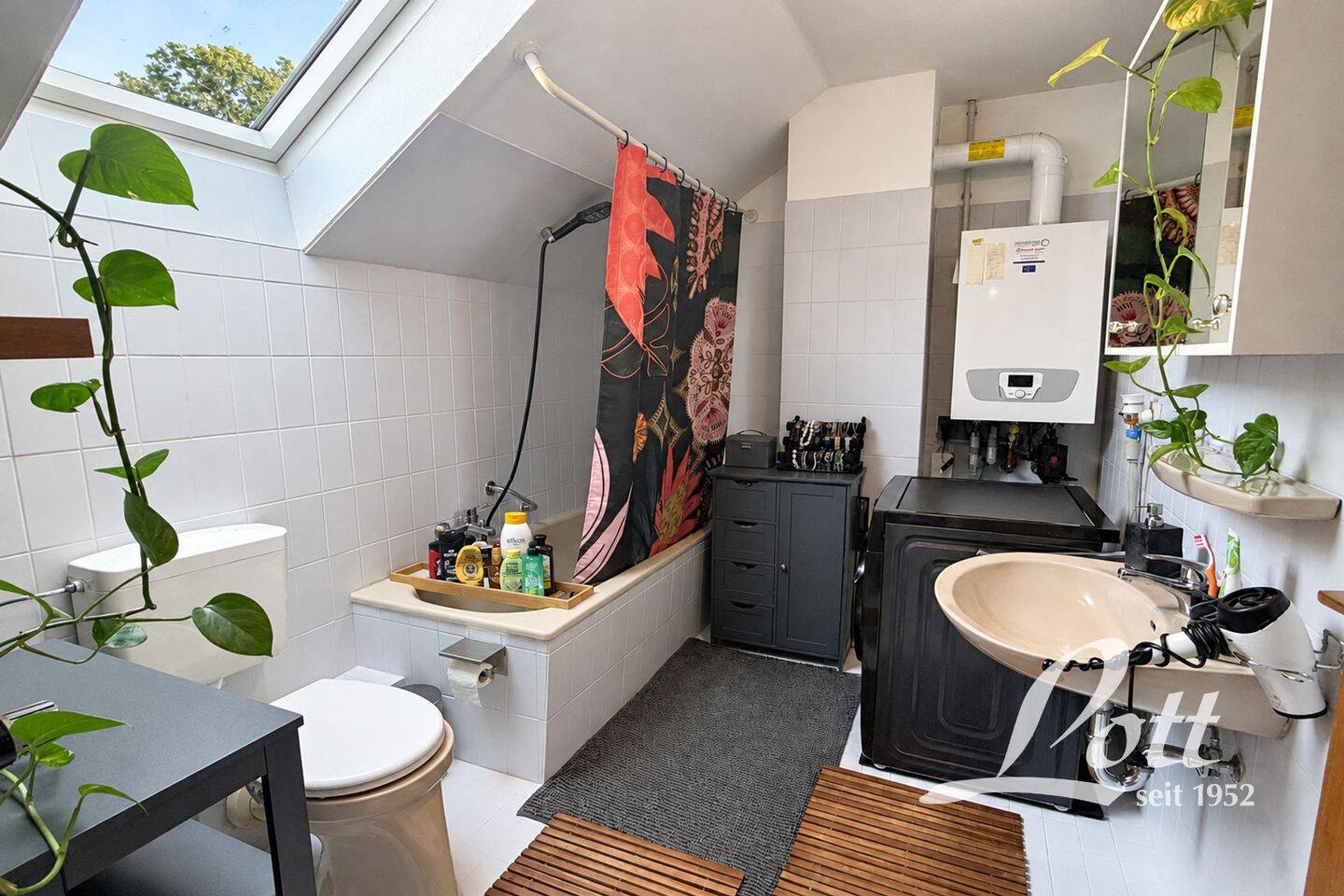 Bild 8