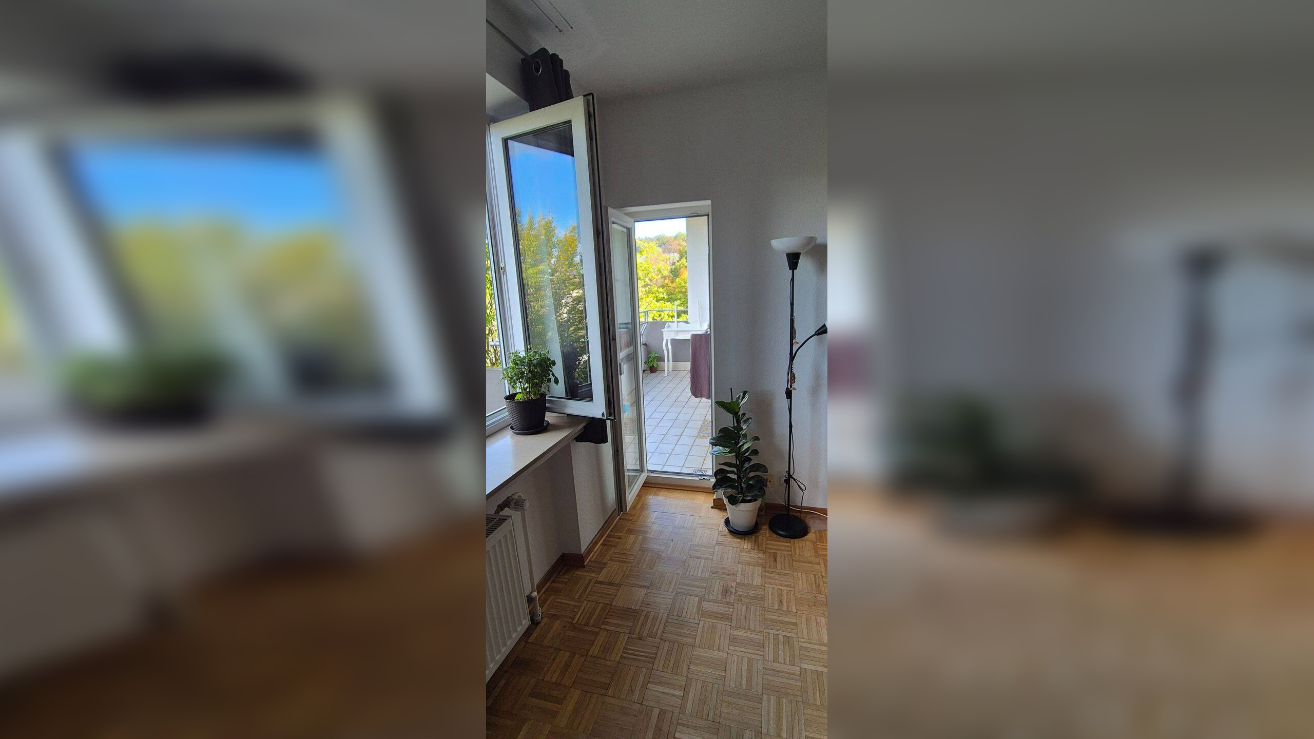 Bild 7