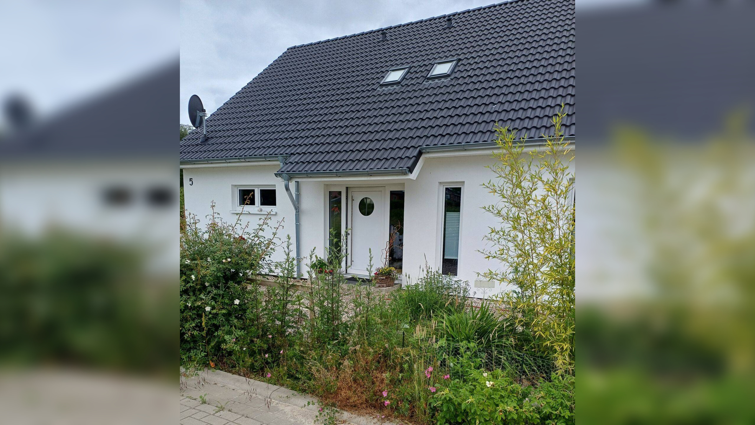 Bild 2