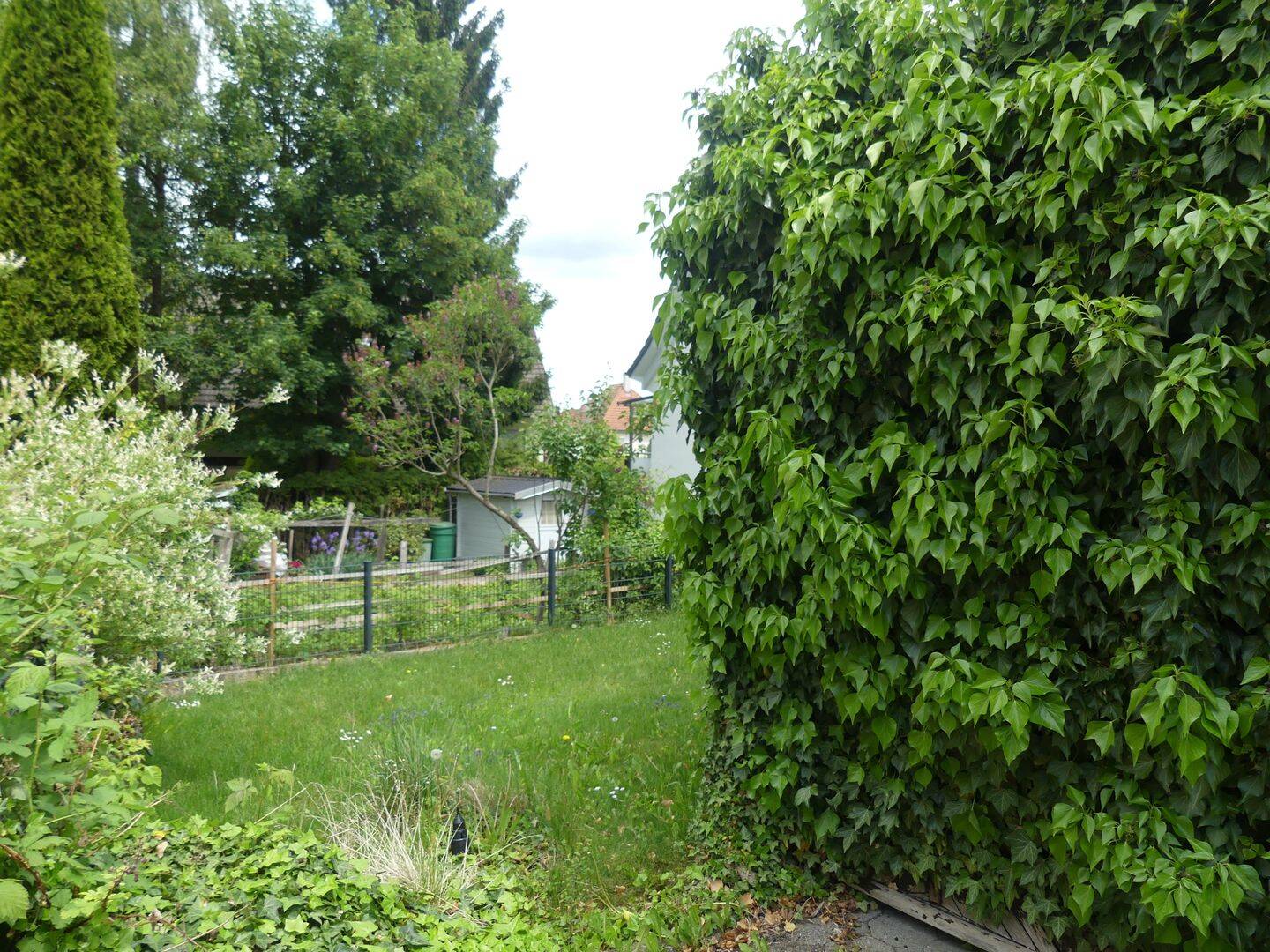 Bild 8