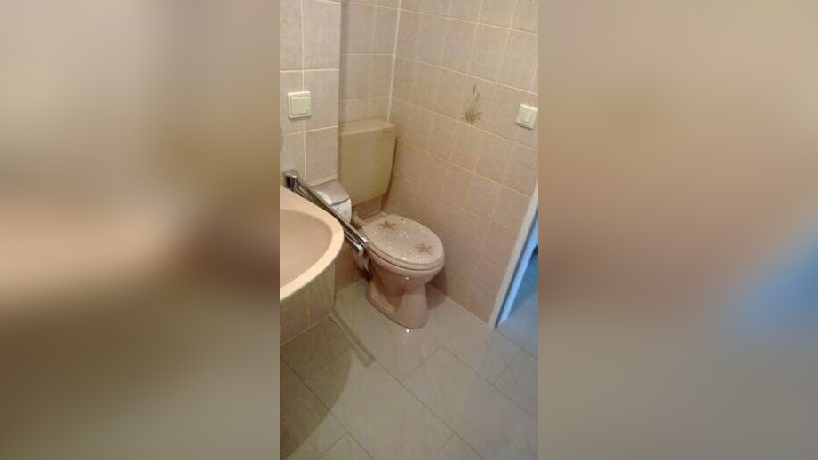 Bild 12