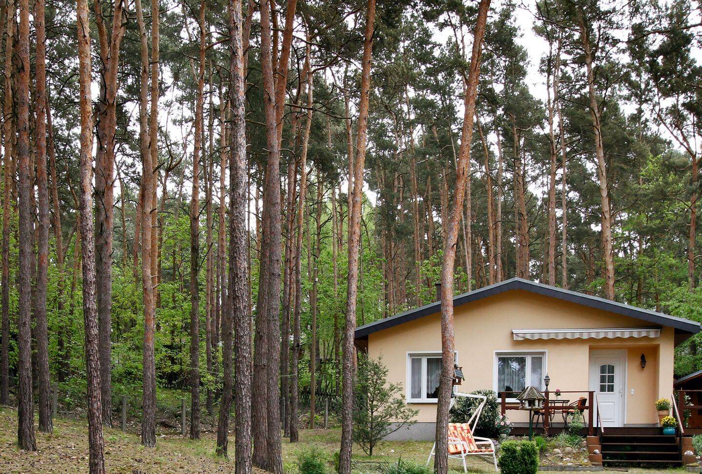 Bild 5