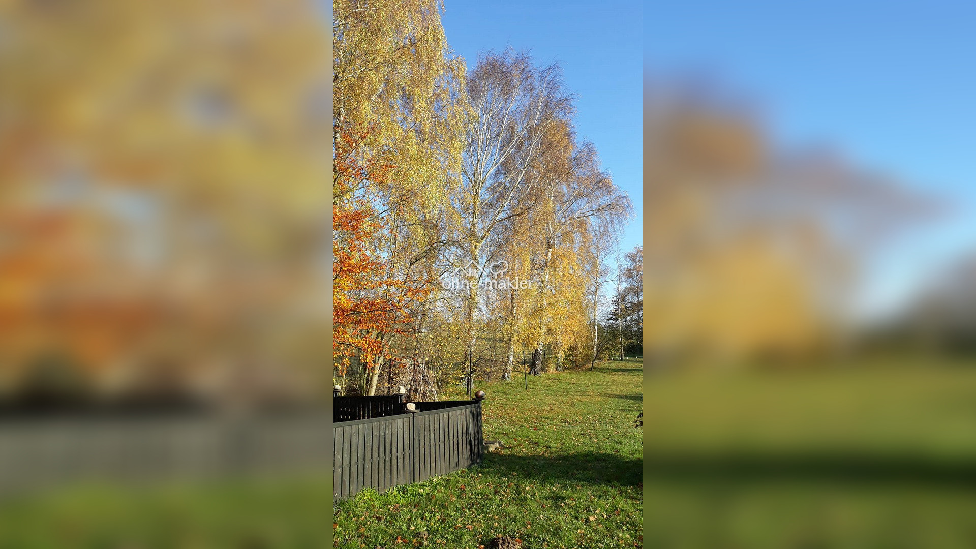 Bild 36
