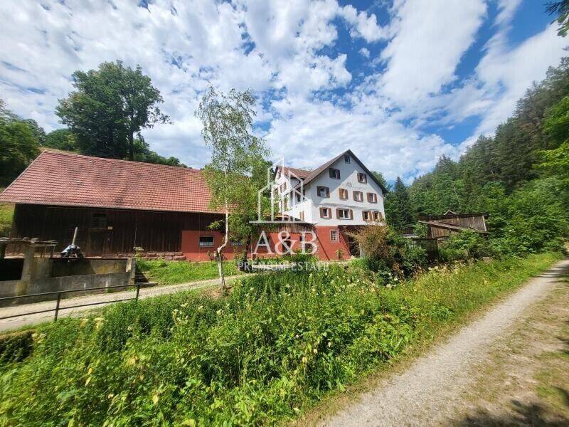 Bild 9