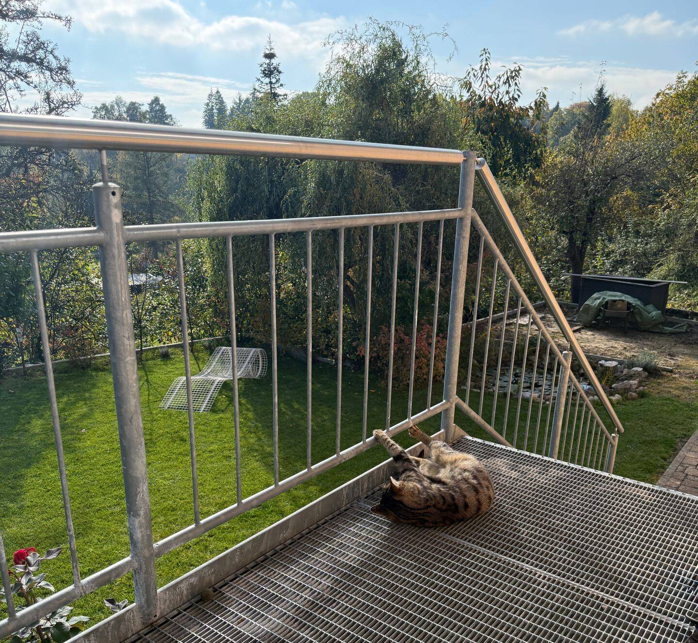 Bild 6