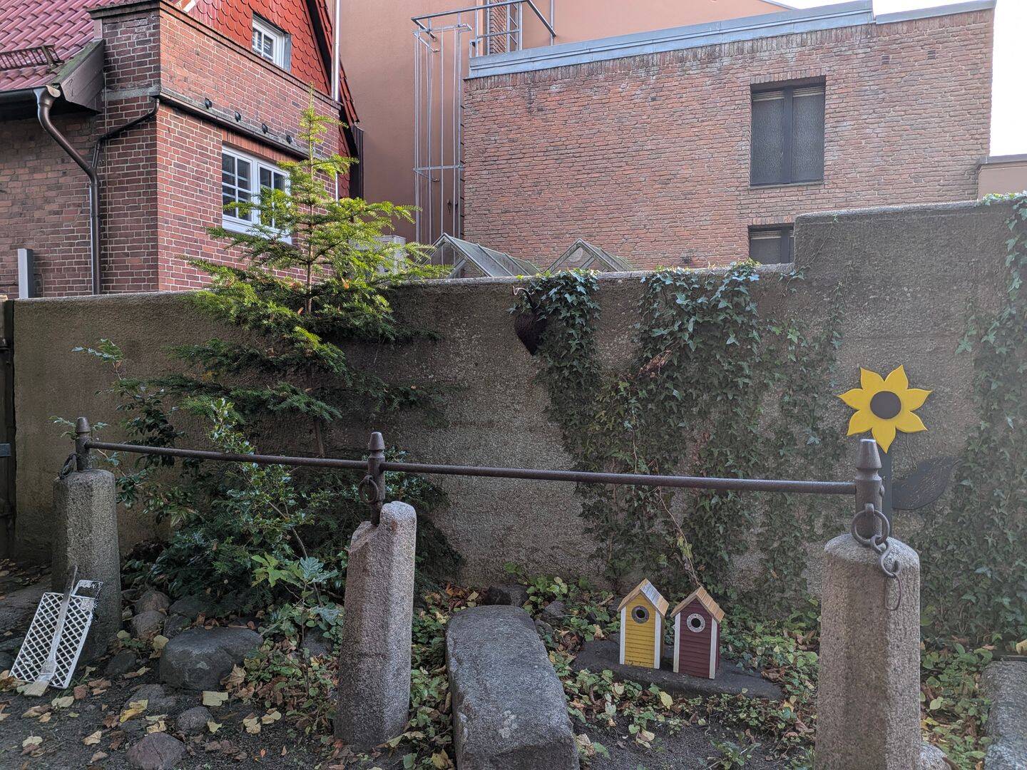 Bild 6