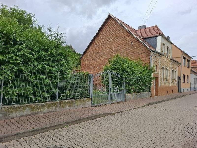 Bild 4