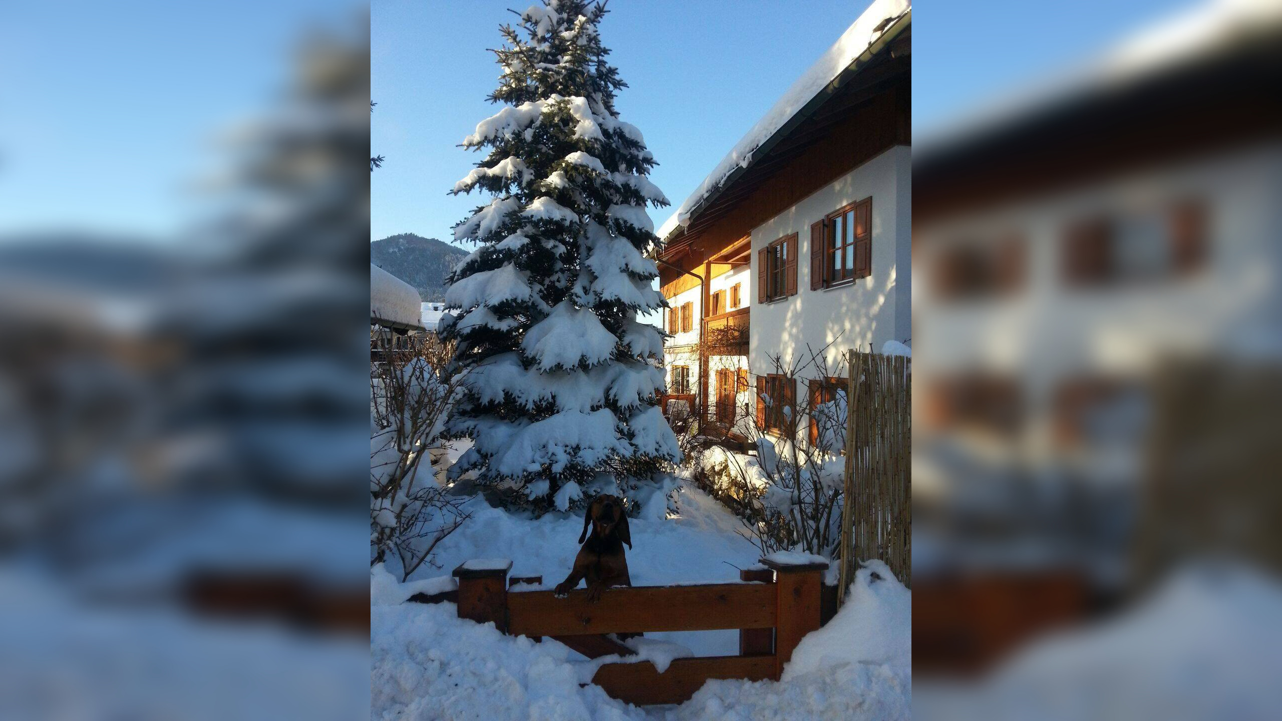 Bild 3
