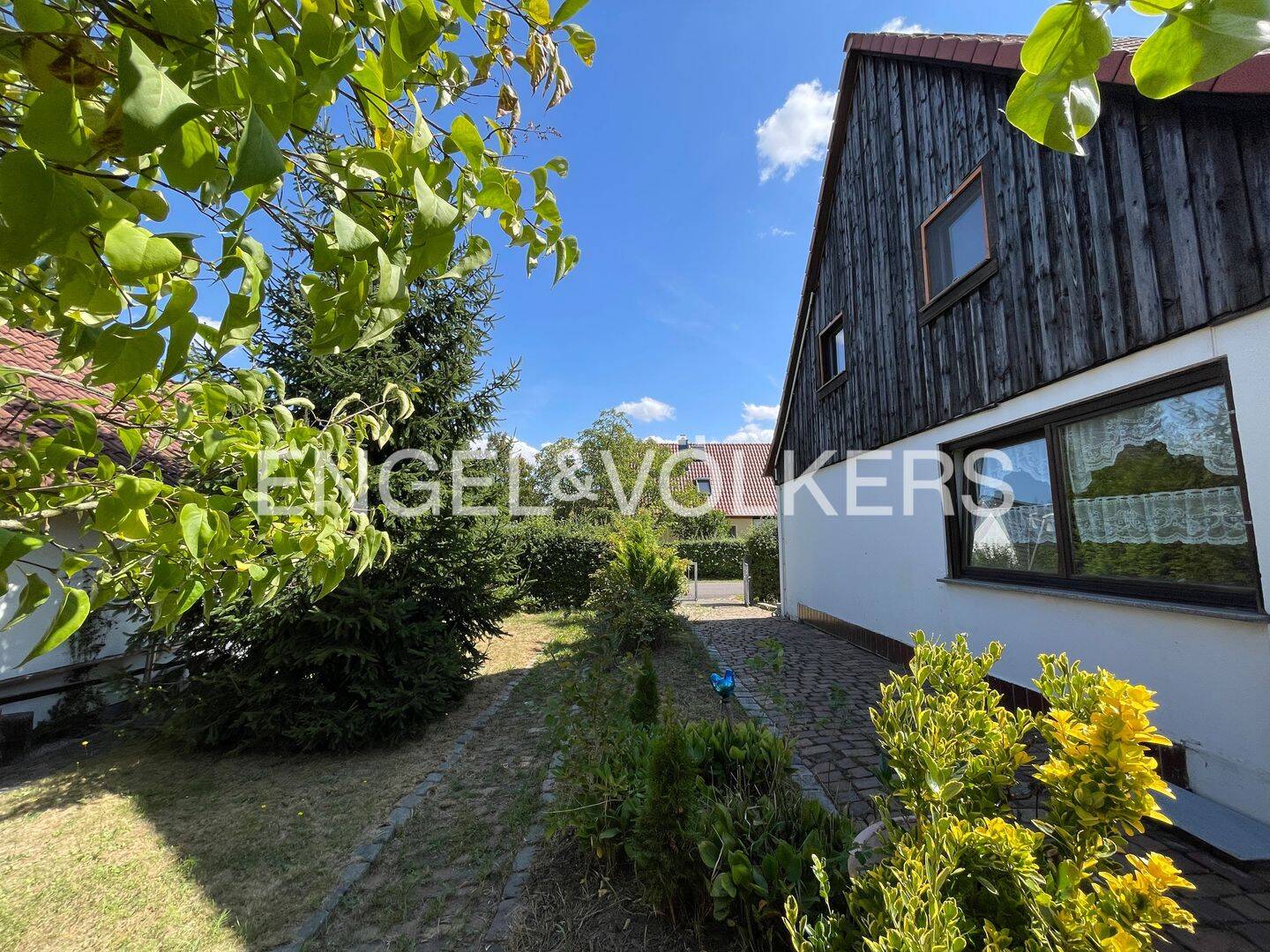 Bild 5