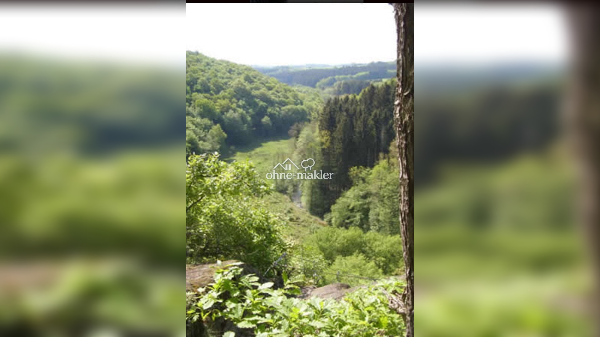 Bild 19