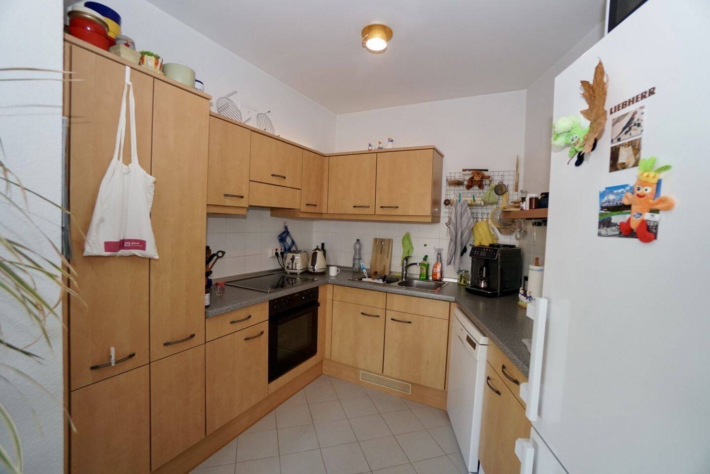 Bild 5