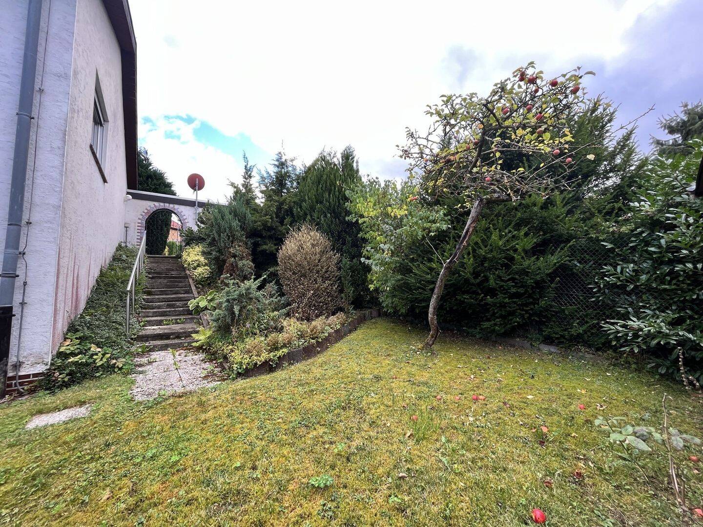 Bild 5
