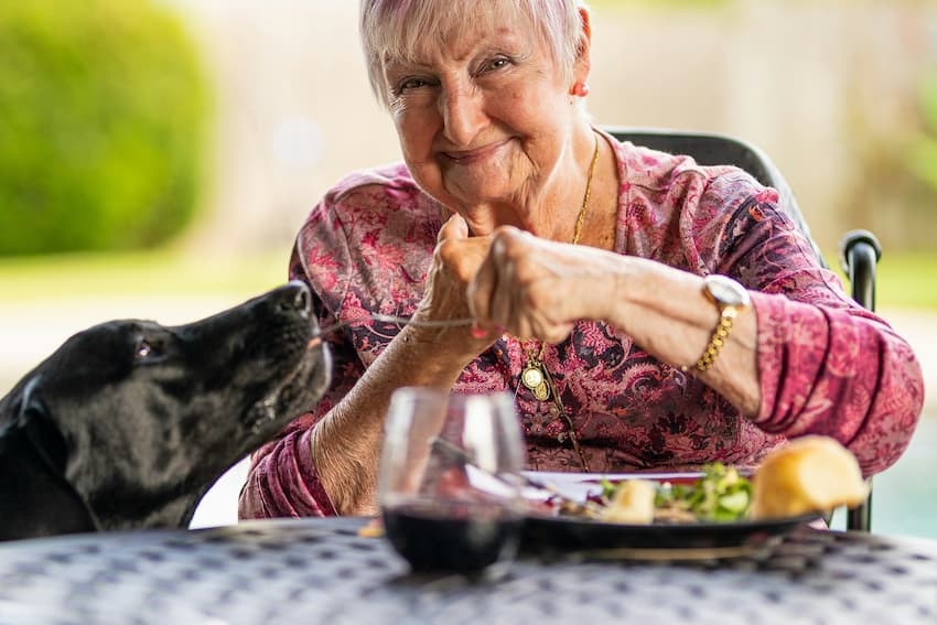 Teilverkauf von Wohnimmobilien und Leibrente: Bild zeigt ältere Frau lächelnd am Tisch sitzend mit Hund