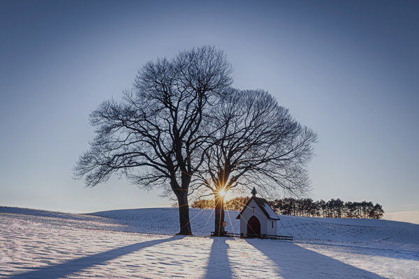 Winterdienst, Baum im Winter mit Kapelle © fotolia / Christian Michelbach