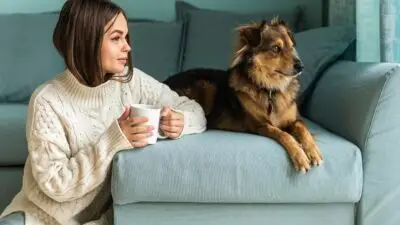 Alles rund um Wohnimmobilien 3 Alles rund um Wohnimmobilien 3