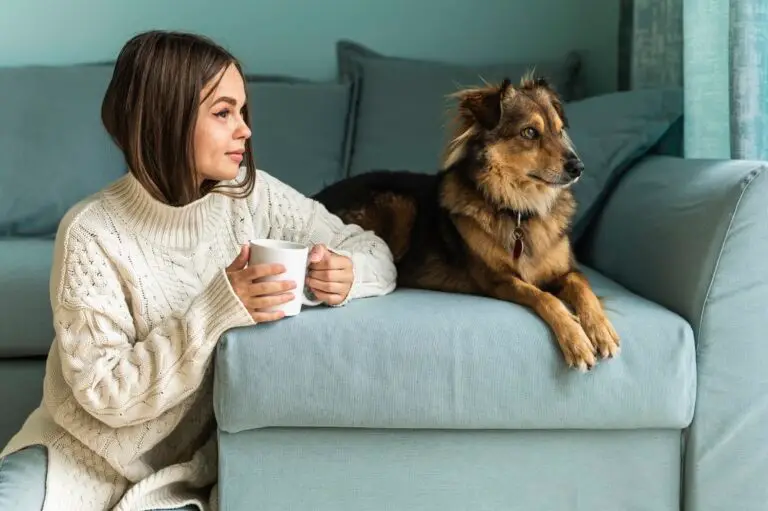 🐾Mieten mit Haustieren: Was Mieter beachten sollten 8